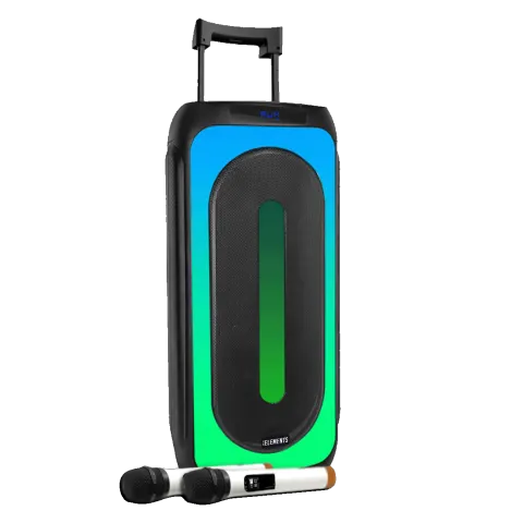 Karaoke EK1010